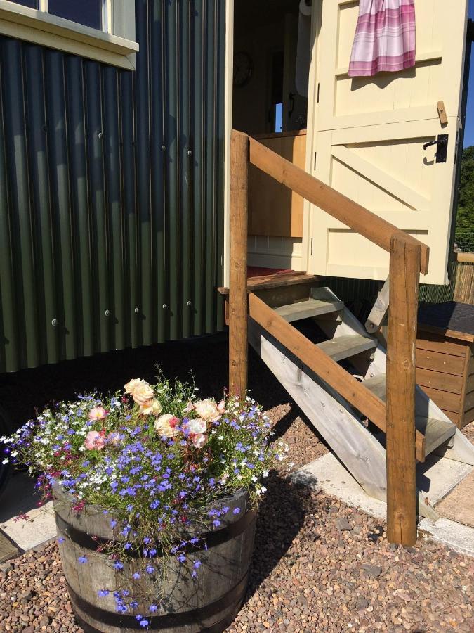 The Hawthorn Shepherds Hut Eyemouth Kültér fotó