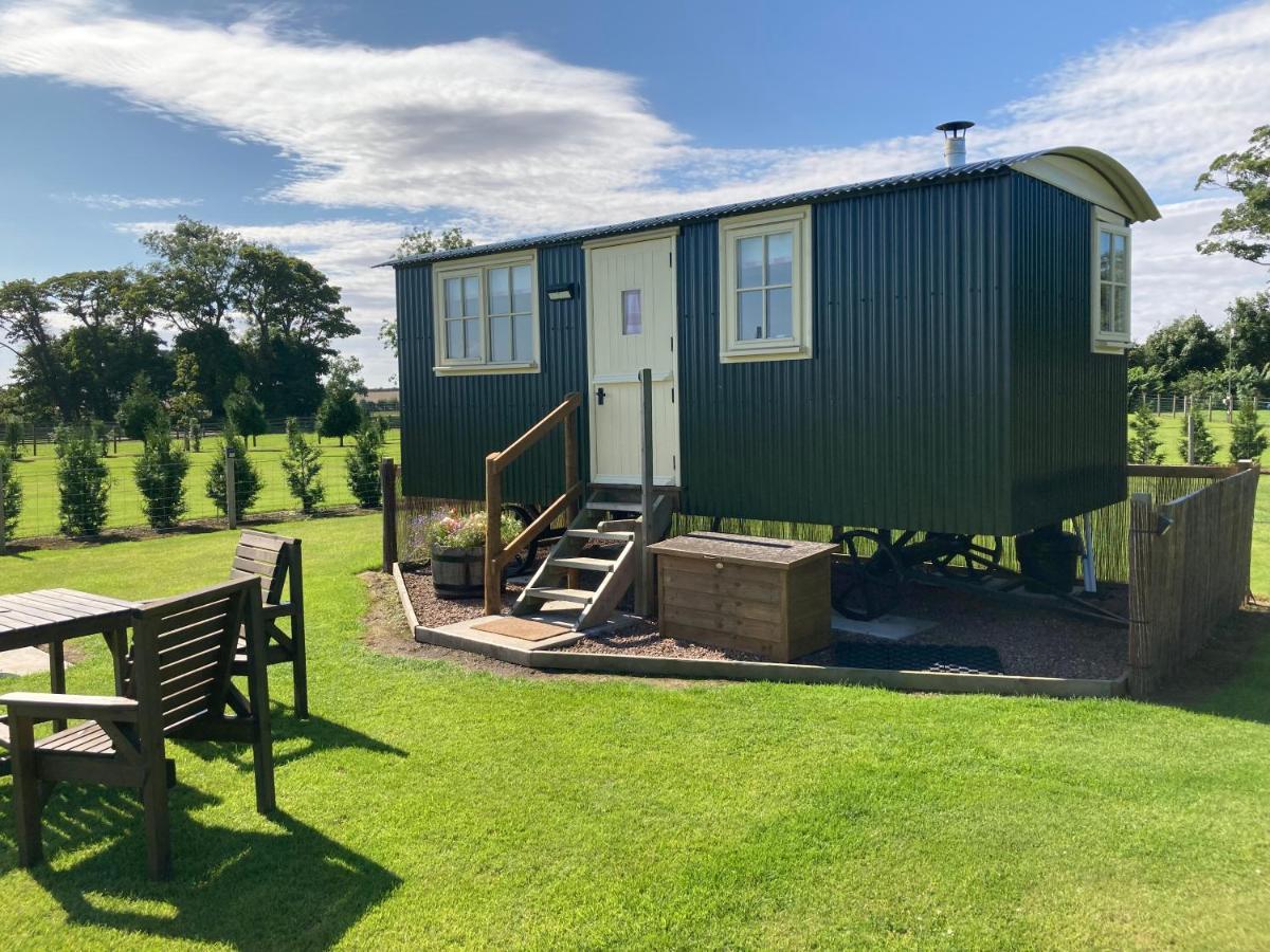 The Hawthorn Shepherds Hut Eyemouth Kültér fotó