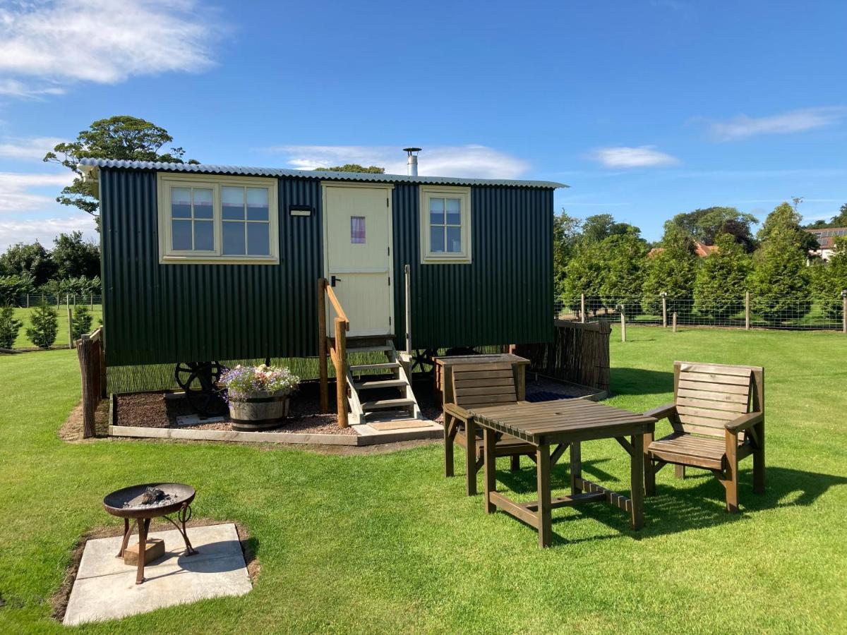 The Hawthorn Shepherds Hut Eyemouth Kültér fotó